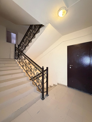 Продам однокомнатную (1-комн.) квартиру, Каменская ул, 23ка, Шалушка с