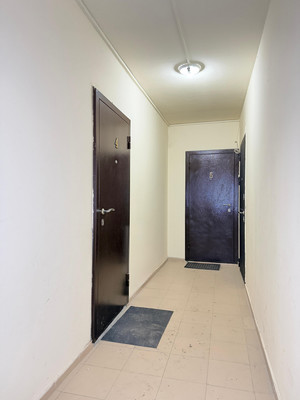 Продам однокомнатную (1-комн.) квартиру, Каменская ул, 23ка, Шалушка с