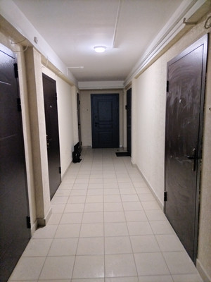 Продам однокомнатную (1-комн.) квартиру, Дружбы ул, 3, Отрадное г