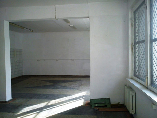 Продам коммерческое помещение 234,7 м2, 40 лет Победы ул, 4ка, Васильково п