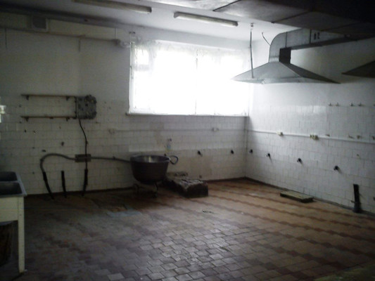 Продам коммерческое помещение 234,7 м2, 40 лет Победы ул, 4ка, Васильково п