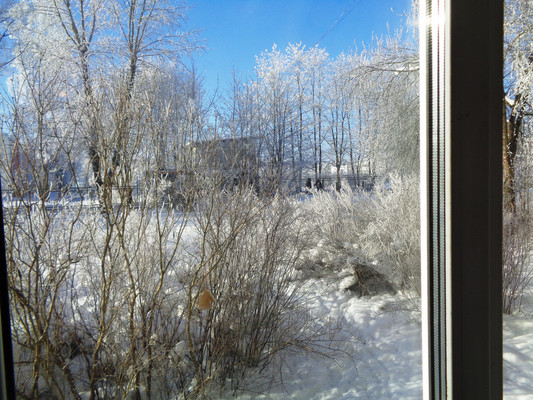 Продам однокомнатную (1-комн.) квартиру, Манина пл, 6, Войсковицы п