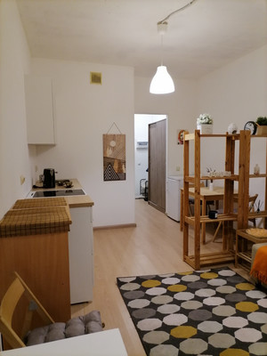 Продам однокомнатную (1-комн.) квартиру, Вилеровский пер, 6, Шушары п