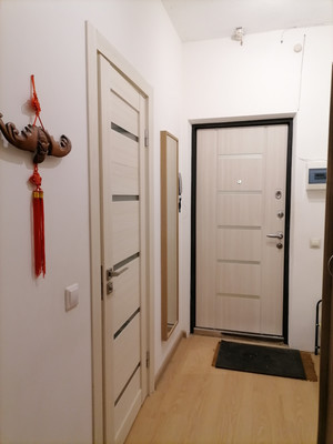 Продам однокомнатную (1-комн.) квартиру, Вилеровский пер, 6, Шушары п