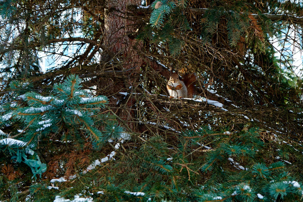 Продам однокомнатную (1-комн.) квартиру, Раменки ул, 14к2, Москва г