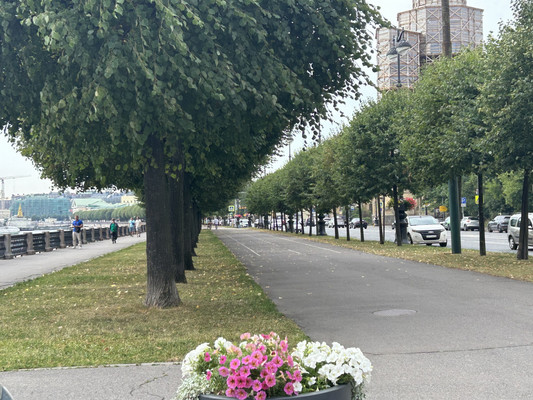 Продам комнату в 4-комн. квартире, 14-я В.О. линия, 5А, Санкт-Петербург г