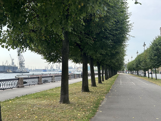 Продам комнату в 4-комн. квартире, 14-я В.О. линия, 5А, Санкт-Петербург г