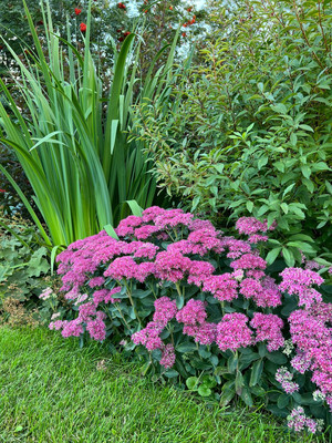 Продам дом, 1, Кайгородово с, 0 км от города