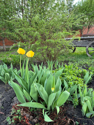 Продам дом, 1, Кайгородово с, 0 км от города