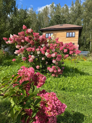 Продам дом, Тонус тер. СНТ, 37, Починки с, 0 км от города