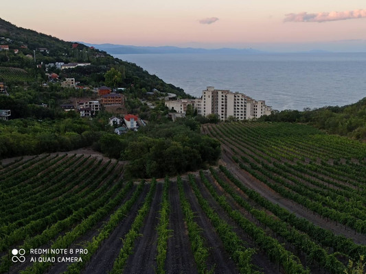 Продам гостиницу 572,4 м2, Головкинского ул, 24, Лазурное с