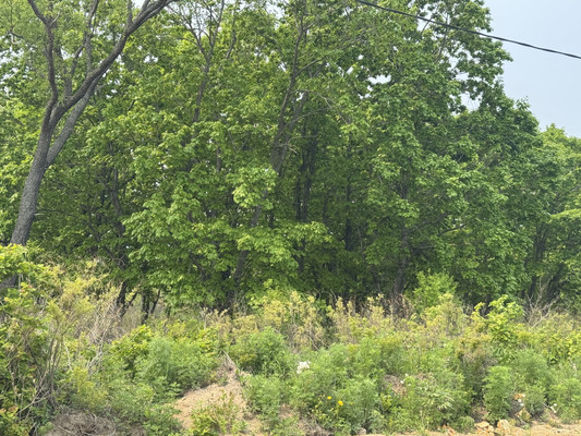 Продам участок 18,9 соток, ИЖС, Осенняя (поселок Врангель мкр.) ул, 13, Находка г, 0 км от города