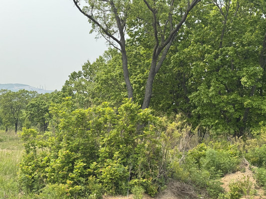 Продам участок 18,9 соток, ИЖС, Осенняя (поселок Врангель мкр.) ул, 13, Находка г, 0 км от города