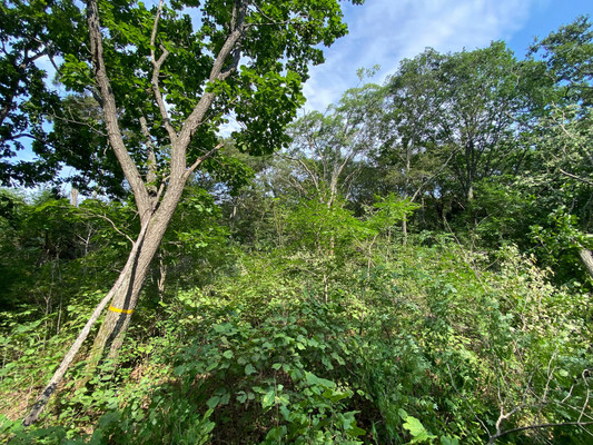 Продам участок 15 соток, ИЖС, Нагорная ул, 16, Владимиро-Александровское с, 0 км от города