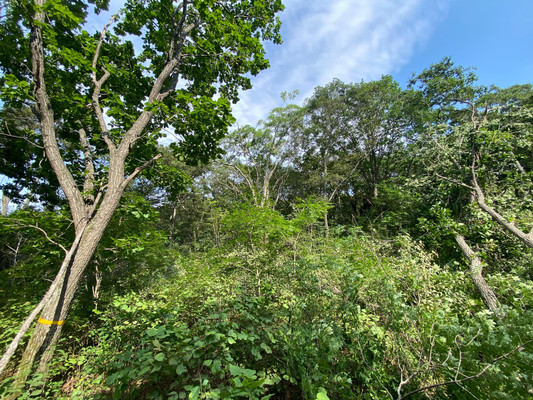 Продам участок 15 соток, ИЖС, Нагорная ул, 16, Владимиро-Александровское с, 0 км от города