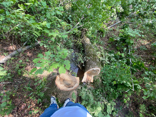 Продам участок 15 соток, ИЖС, Нагорная ул, 16, Владимиро-Александровское с, 0 км от города