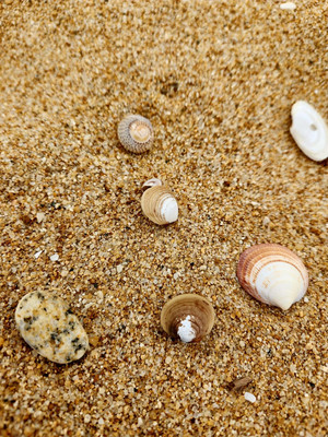 Продам однокомнатную (1-комн.) квартиру, Луговая (поселок Ливадия мкр.) ул, 25, Находка г