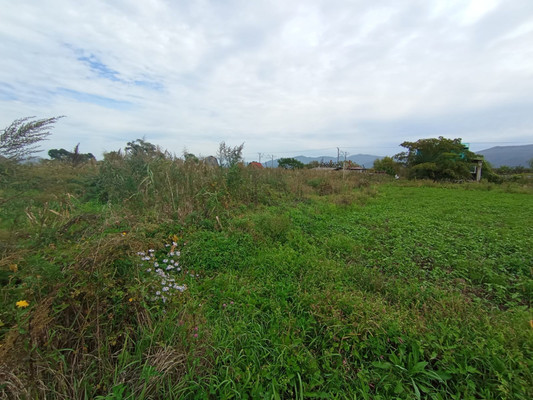 Продам участок 20,42 соток, ИЖС, 163 км ул, 2к2, Екатериновка с, 0 км от города