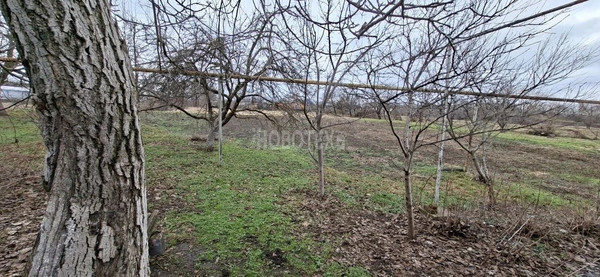 Продам дом, Новая ул, 1, Свобода х, 0 км от города