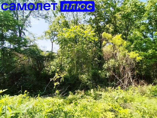 Продам участок 20 соток, ИЖС, Дальняя ул, Фокино г, 0 км от города