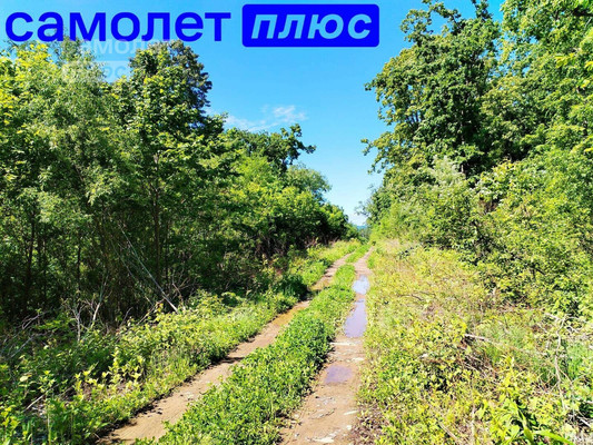 Продам участок 20 соток, ИЖС, Дальняя ул, Фокино г, 0 км от города