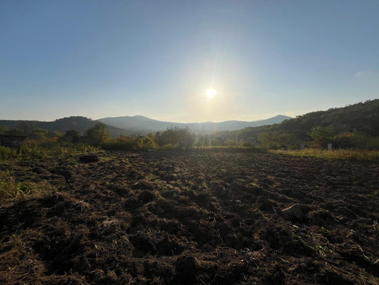 Продам участок 26 соток, Фермерское хоз., 69 км м, Фокино г, 0 км от города