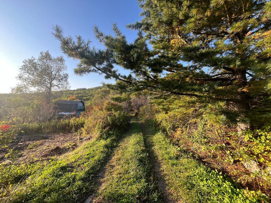 Продам участок 26 соток, Фермерское хоз., 69 км м, Фокино г, 0 км от города