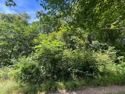 Продам участок 20 соток, ИЖС, Домашлино ул, 12, Фокино г, 0 км от города