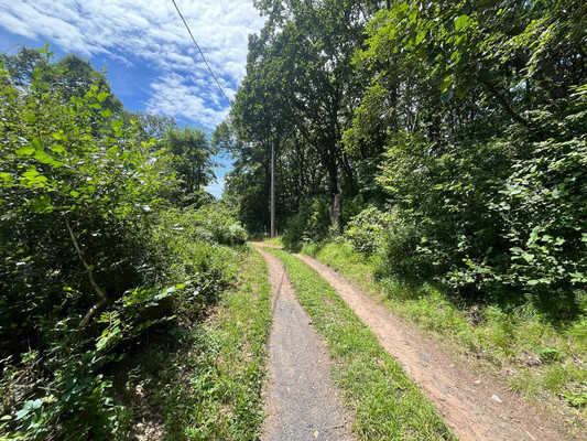 Продам участок 20 соток, ИЖС, Домашлино ул, 12, Фокино г, 0 км от города