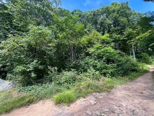 Продам участок 20 соток, ИЖС, Домашлино ул, 12, Фокино г, 0 км от города