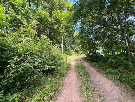 Продам участок 20 соток, ИЖС, Домашлино ул, 12, Фокино г, 0 км от города