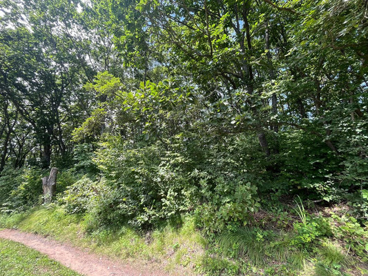 Продам участок 20 соток, ИЖС, Домашлино ул, 12, Фокино г, 0 км от города