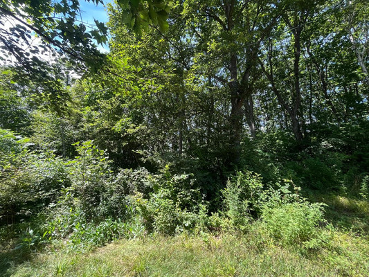 Продам участок 20 соток, ИЖС, Домашлино ул, 12, Фокино г, 0 км от города