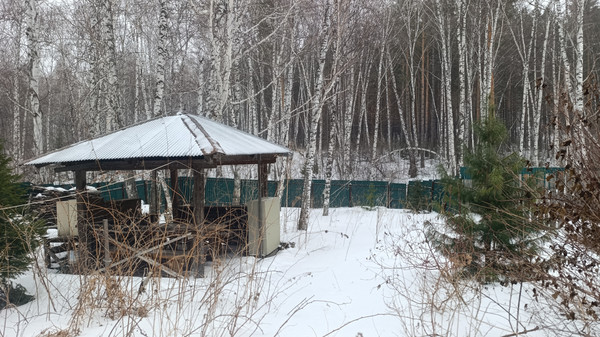 Продам дачу, Беловежская ул, 17, Красноярск г, 0 км от города