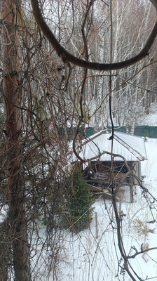 Продам дачу, Беловежская ул, 17, Красноярск г, 0 км от города