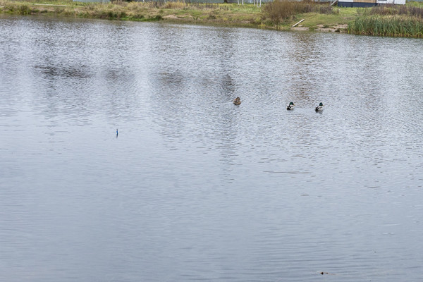 Продам коттедж, объединение Кедр тер, 35, Яхрома г, 0 км от города