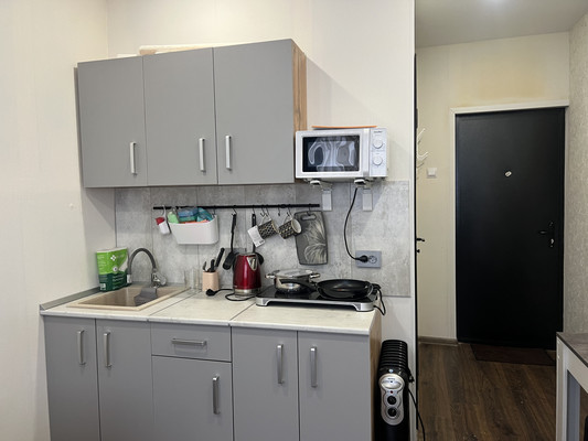 Продам однокомнатную (1-комн.) квартиру, Лесной пр-кт, 37к1, Санкт-Петербург г