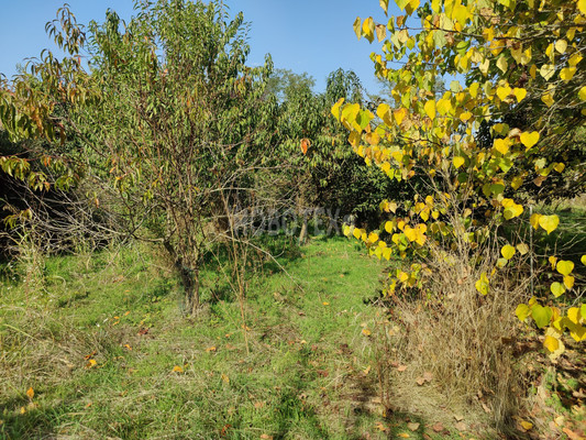 Продам участок 6 соток, ИЖС, Октябрьская ул, Львовское с, 0 км от города