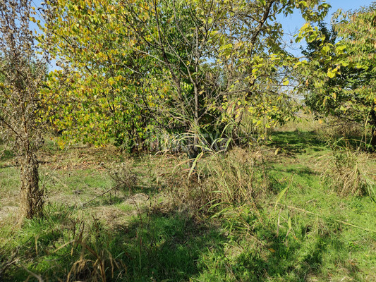 Продам участок 6 соток, ИЖС, Октябрьская ул, Львовское с, 0 км от города