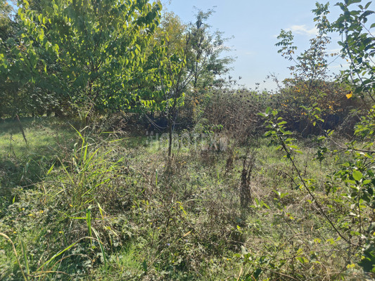 Продам участок 6 соток, ИЖС, Октябрьская ул, Львовское с, 0 км от города