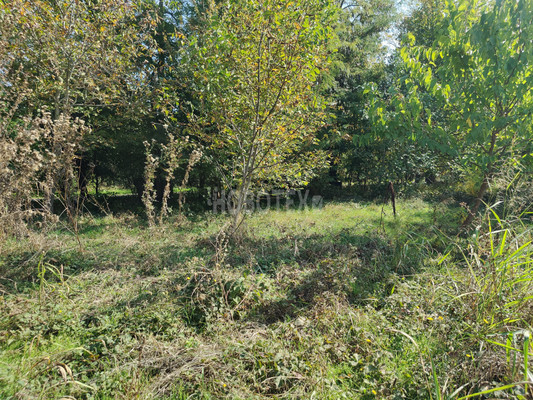 Продам участок 6 соток, ИЖС, Октябрьская ул, Львовское с, 0 км от города