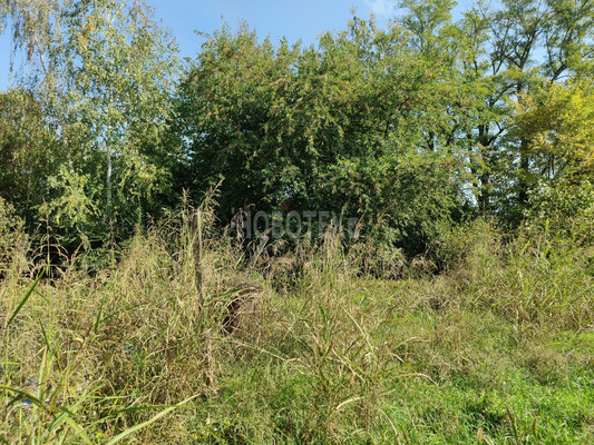 Продам участок 6 соток, ИЖС, Октябрьская ул, Львовское с, 0 км от города