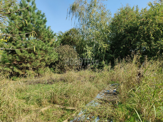 Продам участок 6 соток, ИЖС, Октябрьская ул, Львовское с, 0 км от города