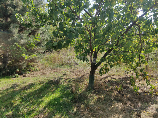 Продам участок 6 соток, ИЖС, Октябрьская ул, Львовское с, 0 км от города