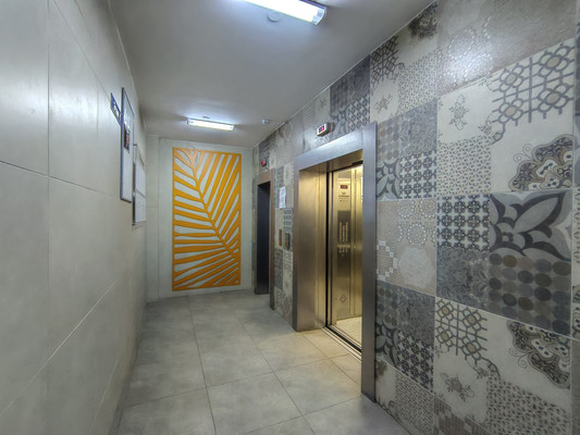 Продам двухкомнатную (2-комн.) квартиру, Дружбы (Зенино ЖК Самолёт мкр.) ул, 9, Люберцы г