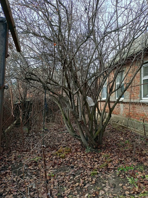 Продам дом, Богданова ул, 53, Ростов-на-Дону г, 0 км от города