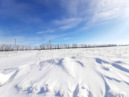 Продам участок 10 соток, ИЖС, Конструкторов ул, 105, Новая Усмань с, 0 км от города