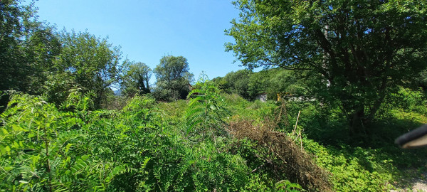 Продам участок 7 соток, ИЖС, Анастасиевка с, 0 км от города