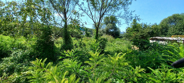 Продам участок 7 соток, ИЖС, Анастасиевка с, 0 км от города