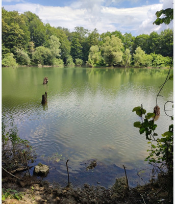 Продам участок 7 соток, ИЖС, Анастасиевка с, 0 км от города